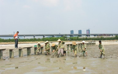 養(yǎng)殖基地