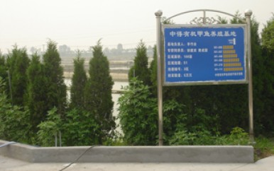 養(yǎng)殖基地