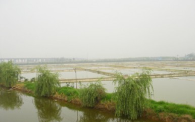 養(yǎng)殖基地