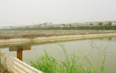 養(yǎng)殖基地